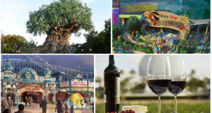 Collage of Disney Parks icons: Tree of Life, Slinky Dog Dash, park thrills, and Epcot Food & Wine Festival glasses.