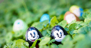 Cartoon-faced plastic eggs nestled in Epcot’s lush gardens, with colorful eggs celebrating Egg-Stravaganza at Walt Disney World.