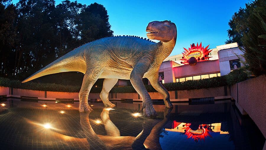 Dinosaur-Animal Kingdom