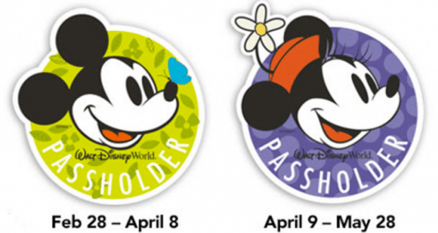 Walt Disney World Annual Passholder badges with Mickey and Minnie, featuring date ranges, mark the Flower & Garden Festival.