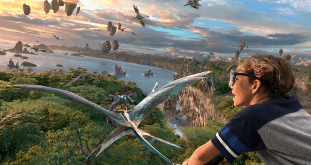 Flight of Passage