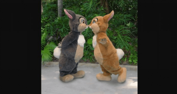 Meeting classic Easter Bunnies along a lush, leafy path, just like magical springtime encounters at Walt Disney World.