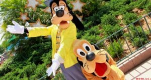 Goofy in a yellow jacket strikes a pose with Pluto, playfully crouched, at Walt Disney World with other cheerful animal friends nearby.