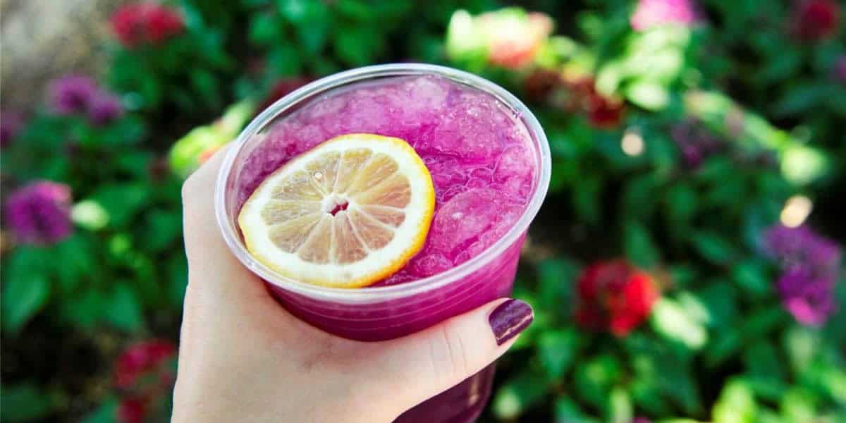 A hand with purple nail polish holds a clear plastic cup filled with a purple iced drink, one of the vibrant Epcot alcoholic drinks, garnished with a lemon slice. Green leaves and pink flowers are blurred in the background.
