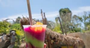 A vibrant slushie with boba pearls shines in front of Animal Kingdom’s lush scenery, highlighting a must-try Disney treat.