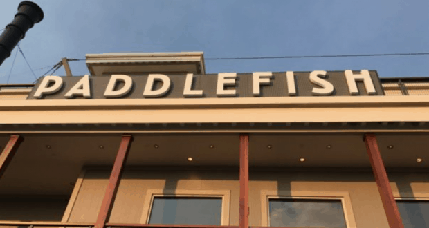 disney-springs-paddlefish