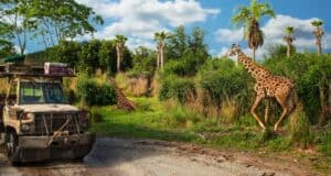 A safari vehicle on a dirt road passes two giraffes, one standing and another lying in lush green grass. Tall trees and a partly cloudy sky create a vibrant background.