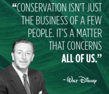 conservation disney