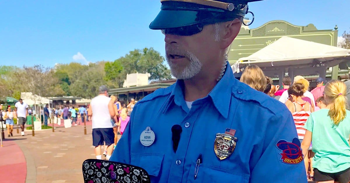 disney-security