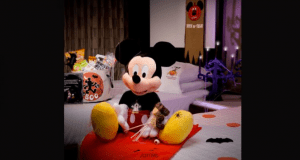 Mickey Mouse plush in Halloween attire on a bed, surrounded by Disney gifts and festive decor—ideal for Walt Disney World fans.