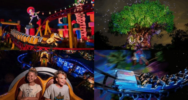 Disney World highlights: Slinky Dog Dash, Animal Kingdom’s Tree of Life, a neon-lit coaster, and excited kids on a thrill ride.