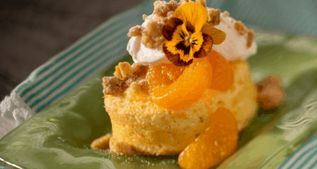 Flower and Garden Food
