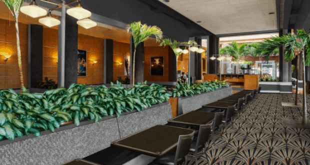 Chic dining area with sleek black tables, lush plants, and sunlit windows, just like ABC Commissary at Disney's Hollywood Studios.