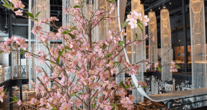 Cherry blossoms and crystal chandeliers set a festive scene for Sakura Festival inside Morimoto Asia at Walt Disney World.