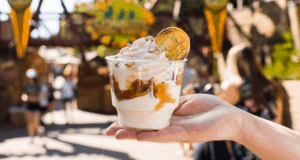 Soft serve ice cream with caramel drizzle and a chocolate coin, enjoyed at Animal Kingdom during the Disney World Tasting Sampler.