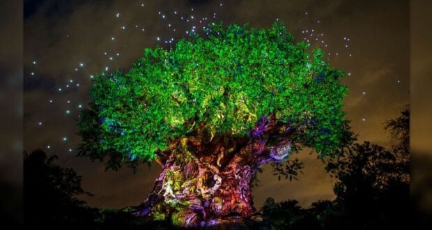 A large, illuminated tree with a thick trunk and sprawling branches is adorned with colorful lights and patterns. Bright spots resembling stars light up the night sky in the background.