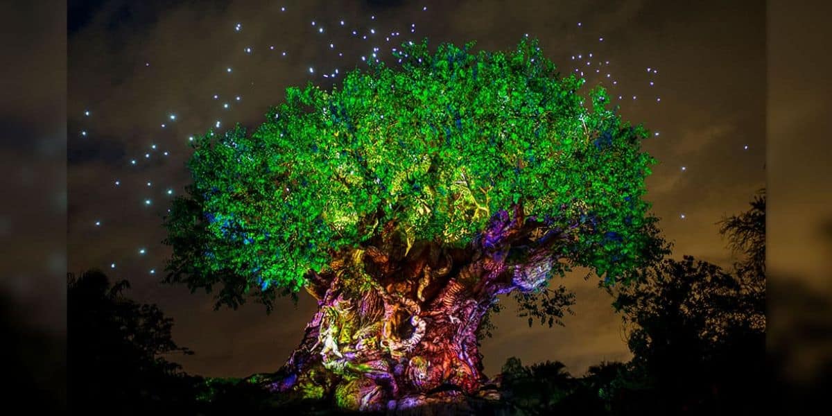 A large, illuminated tree with a thick trunk and sprawling branches is adorned with colorful lights and patterns. Bright spots resembling stars light up the night sky in the background.