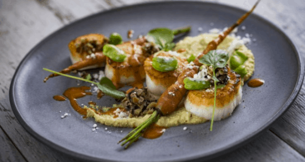 Seared scallops with baby carrots, sauce, and vibrant greens on a gray plate—Disney World-inspired cuisine for food lovers.