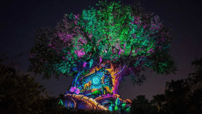 Disney's Animal Kingdom