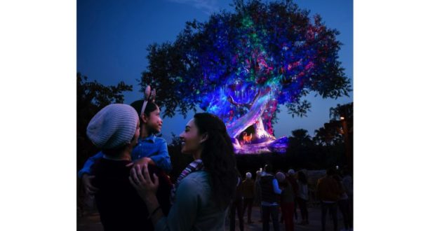 Guests marvel at the brilliantly lit Tree of Life at night, surrounded by festive crowds at Disney’s Animal Kingdom’s holiday celebration.