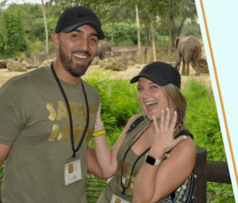 Happy couple in matching safari shirts at Animal Kingdom, her ring sparkling after a magical Disney proposal with elephants nearby.