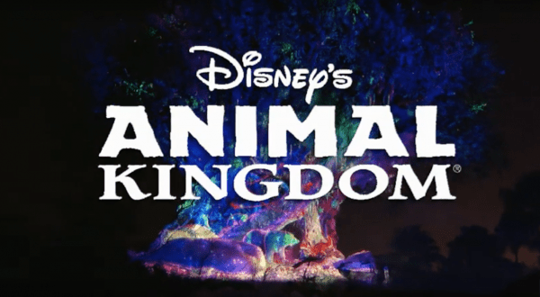 Disney’s Animal Kingdom logo shines above the vibrant, illuminated Tree of Life at night during Holidays’ Awakening celebration.