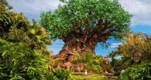 animal-kingdom-disney-tree-of-life