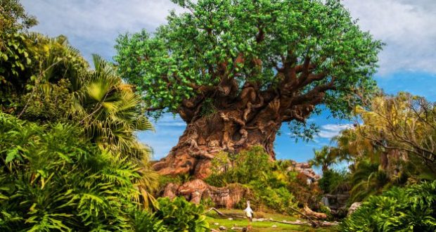 animal-kingdom-disney-tree-of-life
