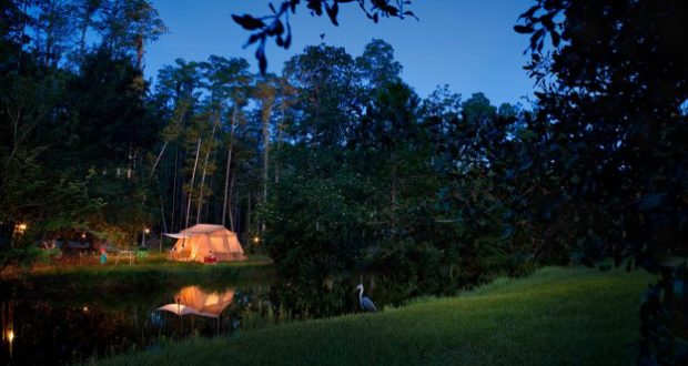 A glowing tent by a wooded lake at dusk, with camp chairs and a bird—evoking evenings at Disney’s Fort Wilderness Resort.