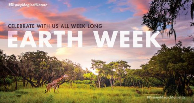 A giraffe roams the scenic savanna at Disney’s Animal Kingdom during sunset; “Earth Week: Celebrate the Magic of Nature with us!”.