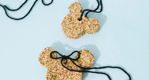 Mickey-shaped birdseed ornaments hang by black string on a light blue background—perfect for Disney-themed backyard fun!.