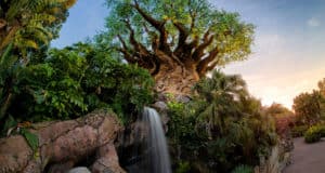 tree of life