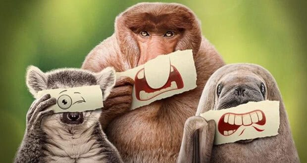 Three animals—a lemur, a monkey, and a manatee—hold pieces of paper with cartoon eyes or mouths in front of their faces, creating funny and exaggerated expressions reminiscent of characters from Disney Plus Shows, against a blurred green background.
