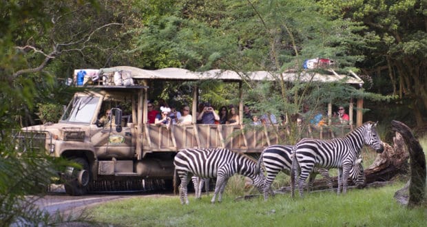 Kilimanjaro Safaris