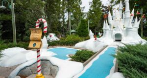 winter summerland