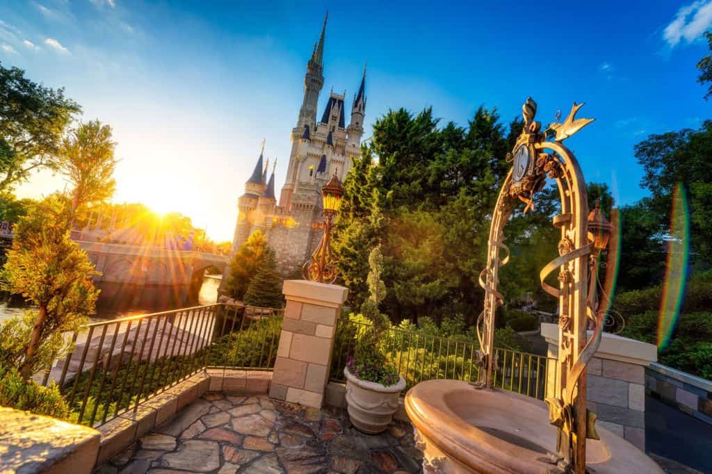 Cinderella Wishing Well