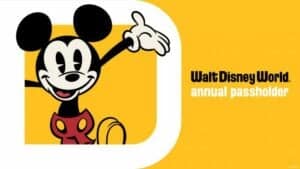 annual-pass-mickey