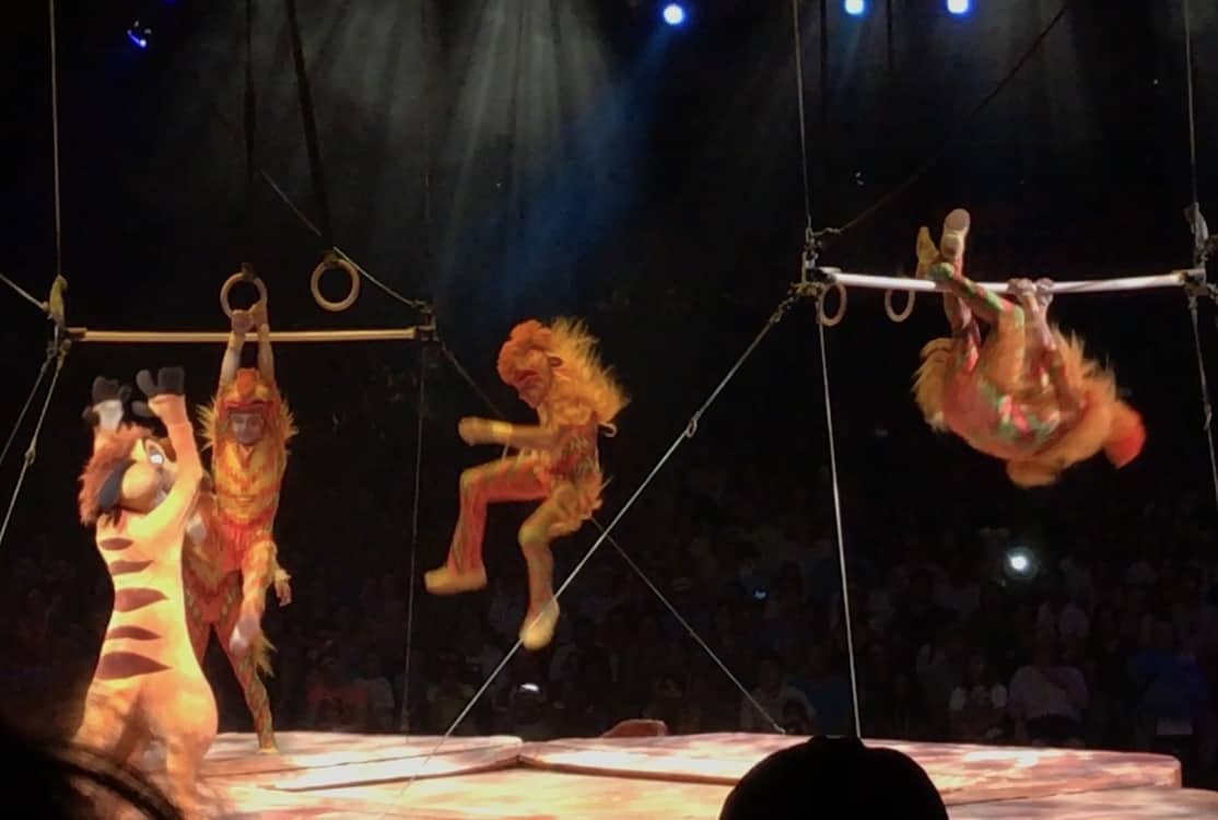 tumble-monkeys