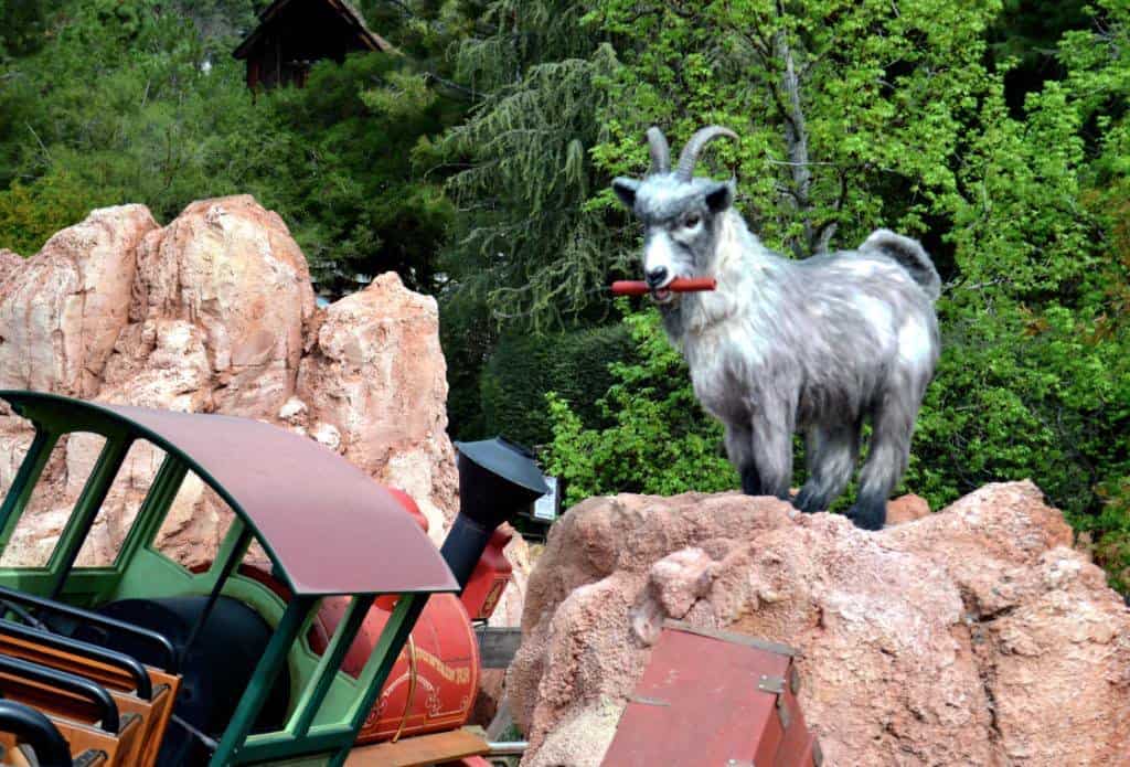goat-disney-big-thunder