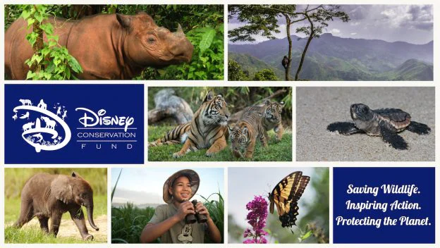 Disney's Conservation Fund