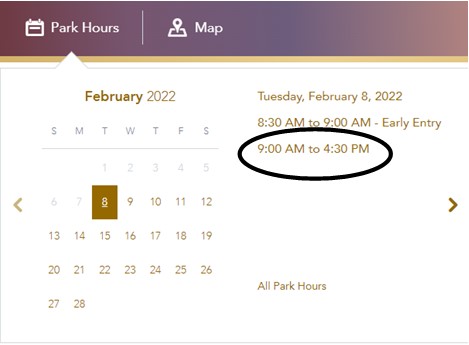 Magic Kingdom Park Hours on February 8
