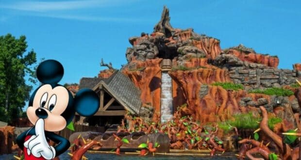 splash-mountain-secret