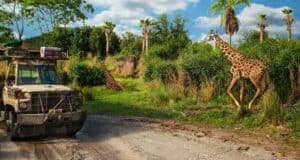 kilimanjaro-safari-giraffe