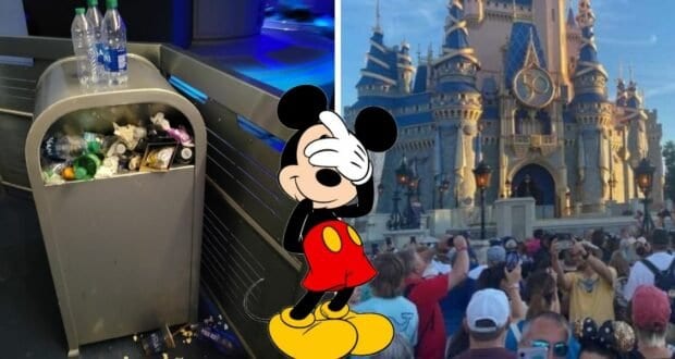 mickey-trash-crowds