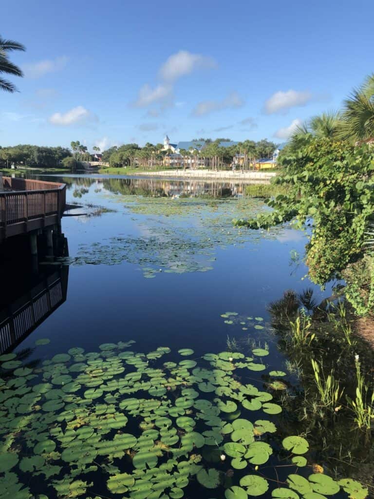 barefoot-bay-disney