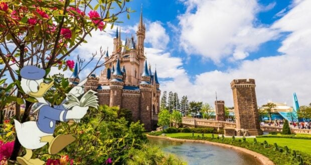 money-donald-disney-world