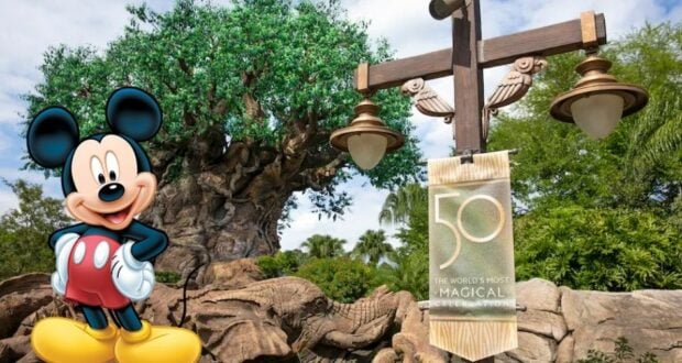 disney-animal-kingdom-new-experiences