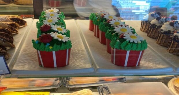 earth day cupcake