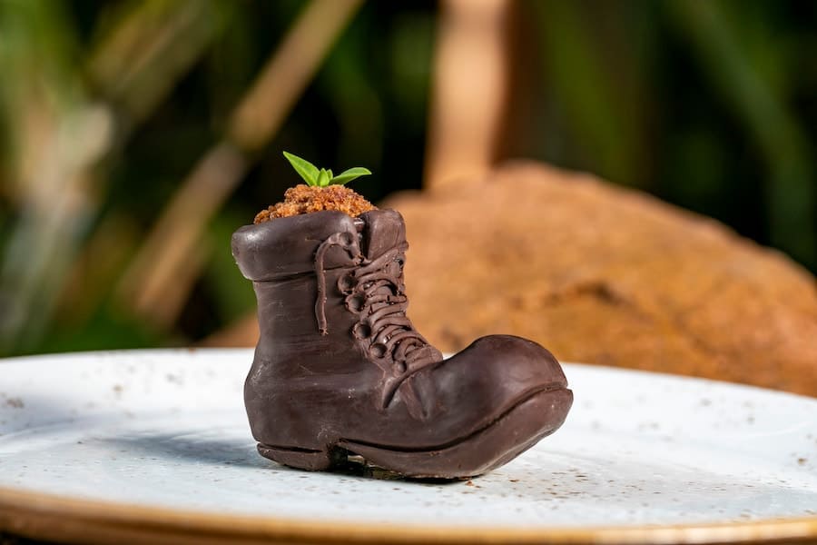 disney-earth-day-plant-in-boot