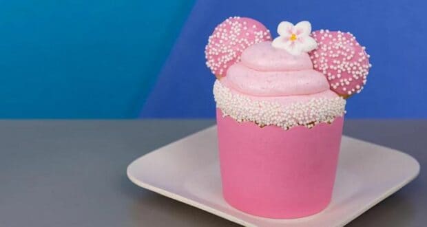 cupcake-pink-treat-minnie
